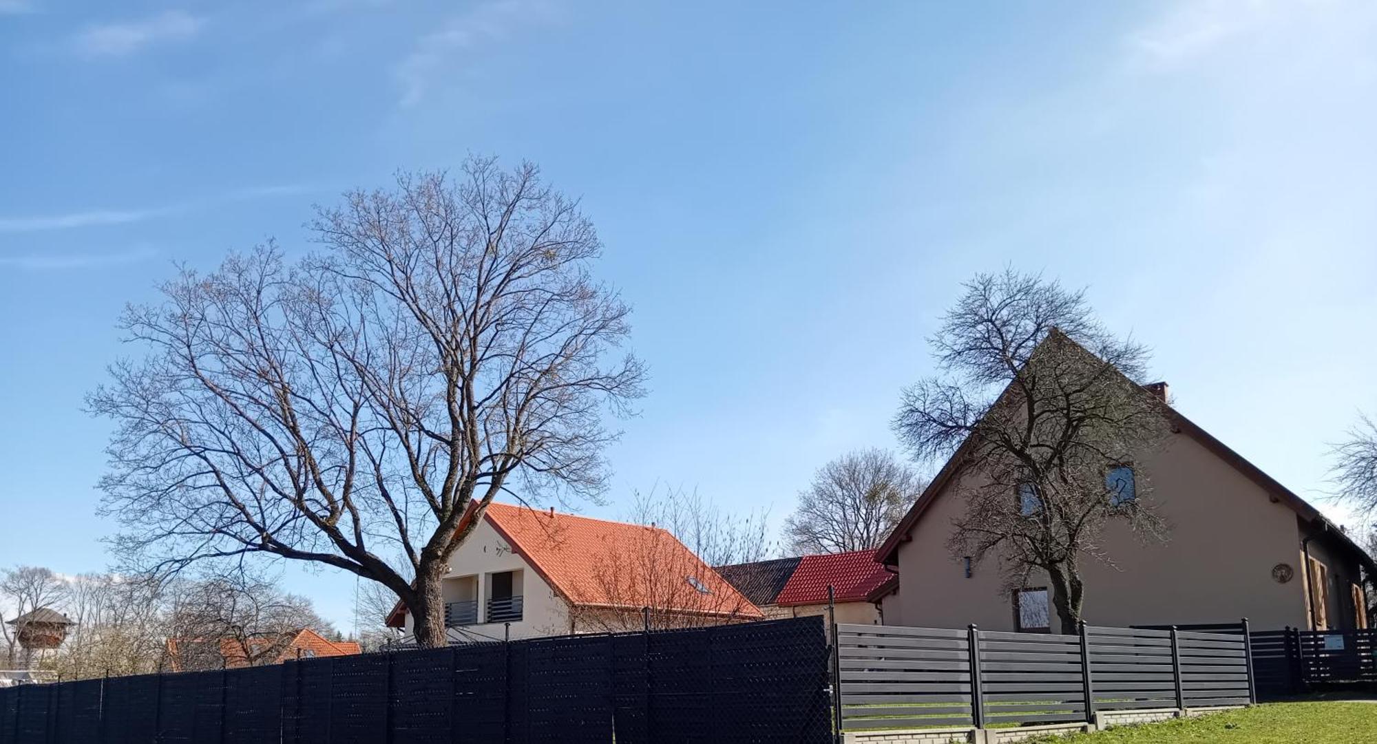 Pokoje Goscinne Sloneczny Klon Dabrowno Bagian luar foto