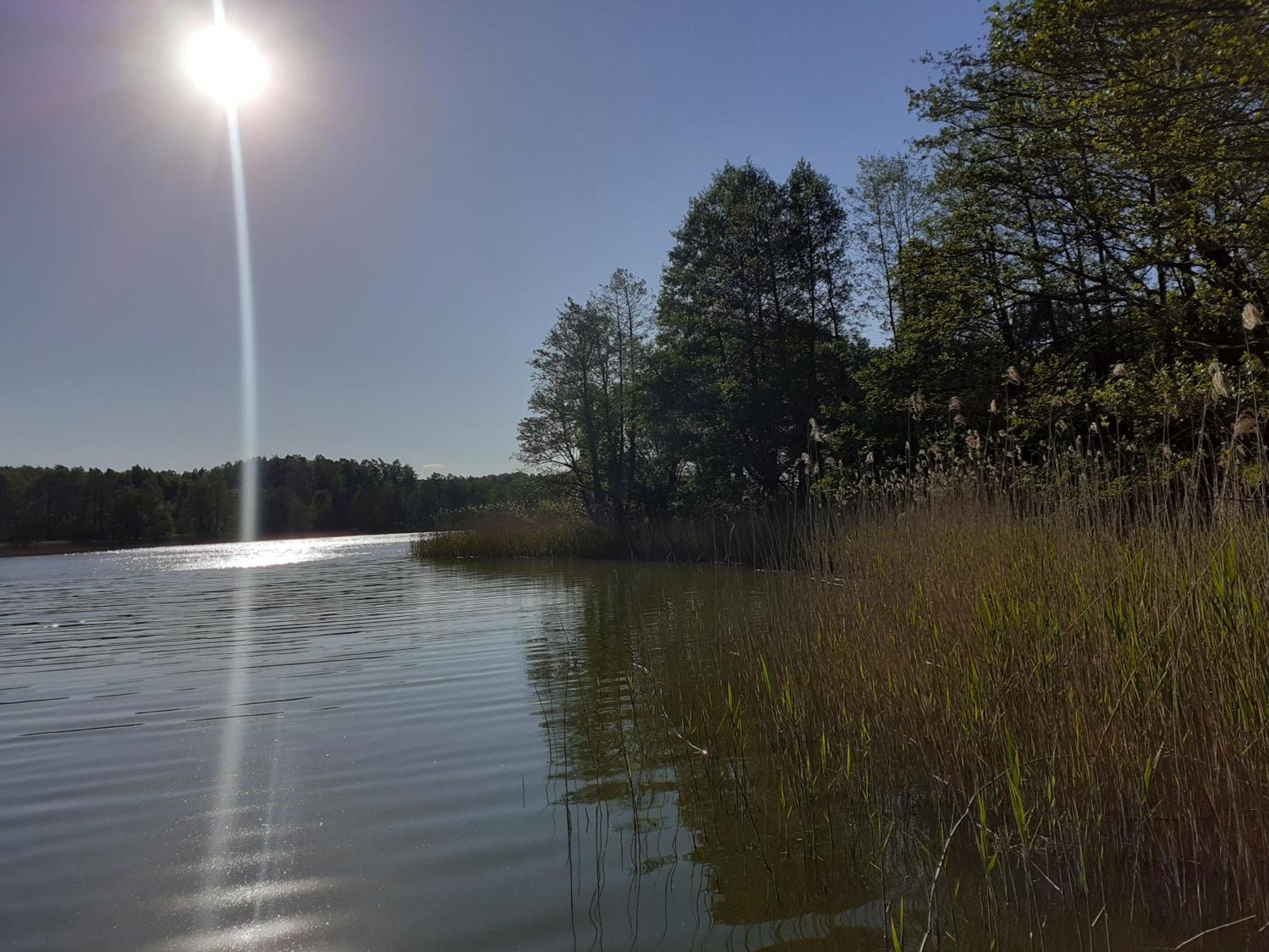 Pokoje Goscinne Sloneczny Klon Dabrowno Bagian luar foto