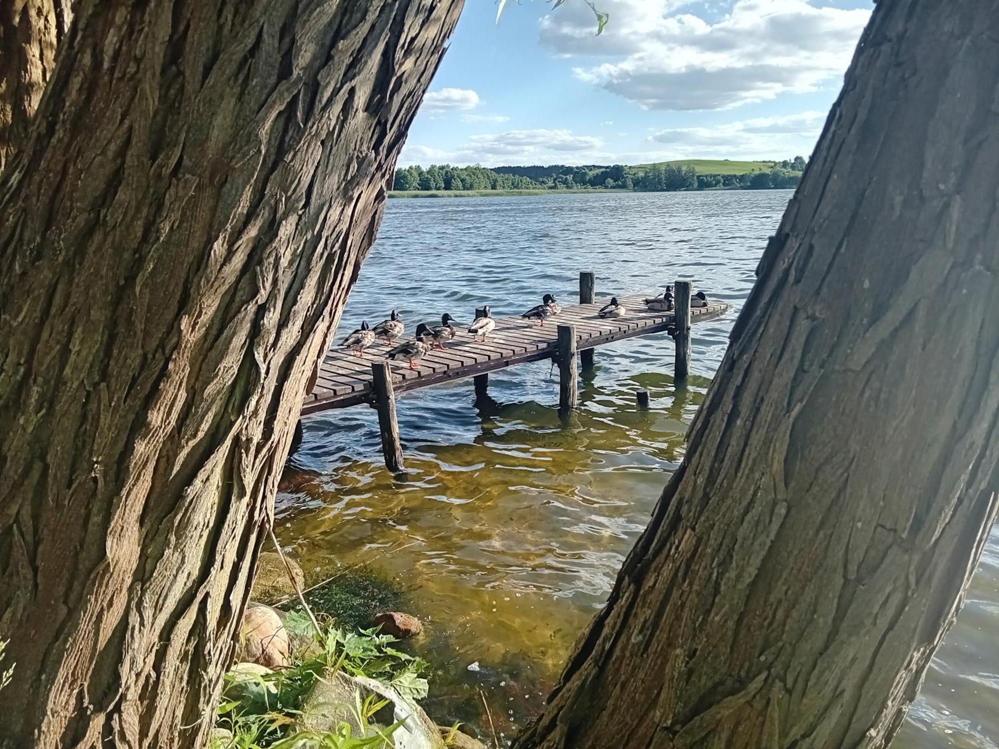 Pokoje Goscinne Sloneczny Klon Dabrowno Bagian luar foto