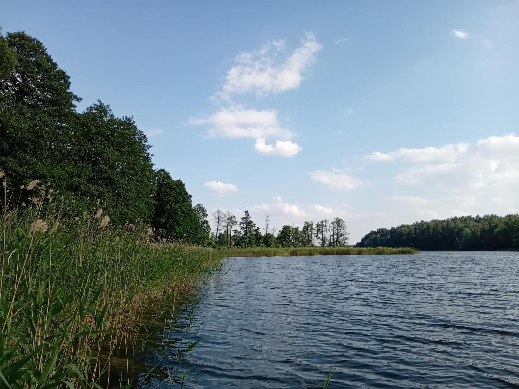 Pokoje Goscinne Sloneczny Klon Dabrowno Bagian luar foto