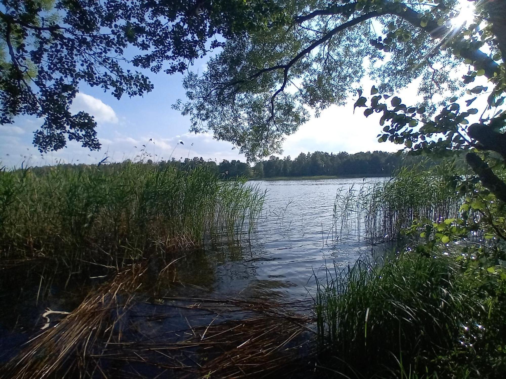 Pokoje Goscinne Sloneczny Klon Dabrowno Bagian luar foto