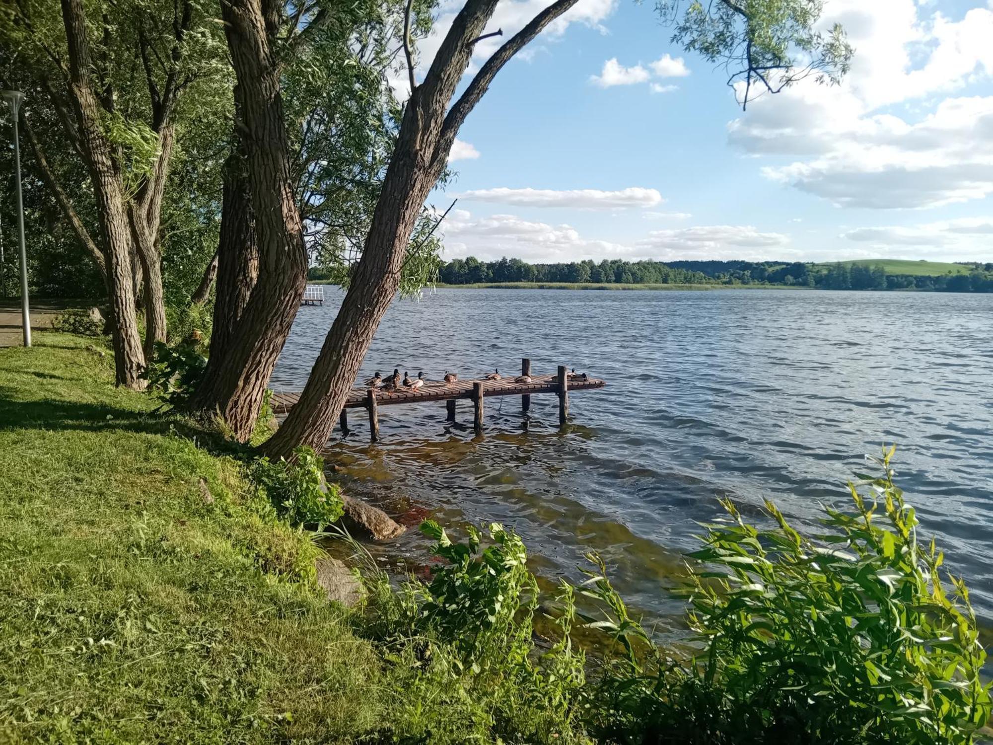 Pokoje Goscinne Sloneczny Klon Dabrowno Bagian luar foto