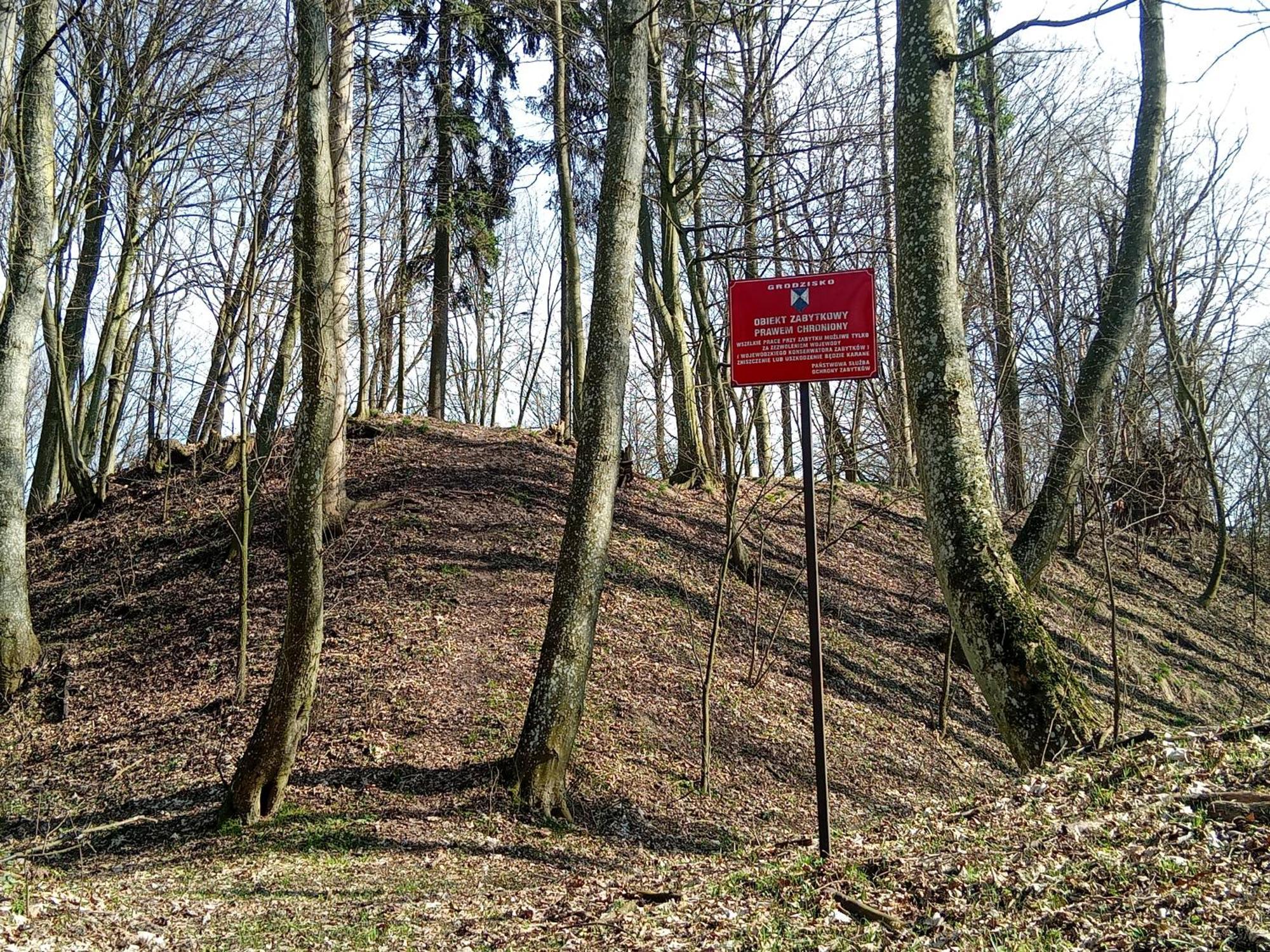 Pokoje Goscinne Sloneczny Klon Dabrowno Bagian luar foto