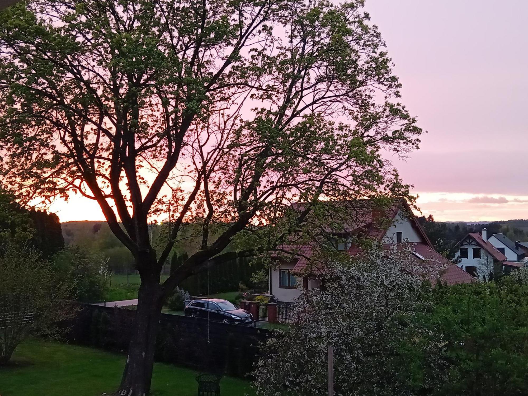 Pokoje Goscinne Sloneczny Klon Dabrowno Ruang foto