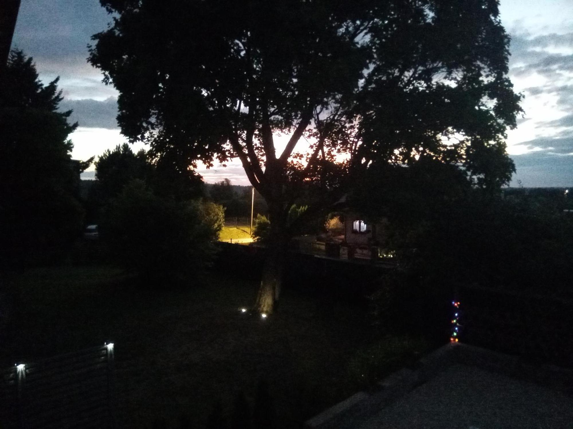 Pokoje Goscinne Sloneczny Klon Dabrowno Ruang foto