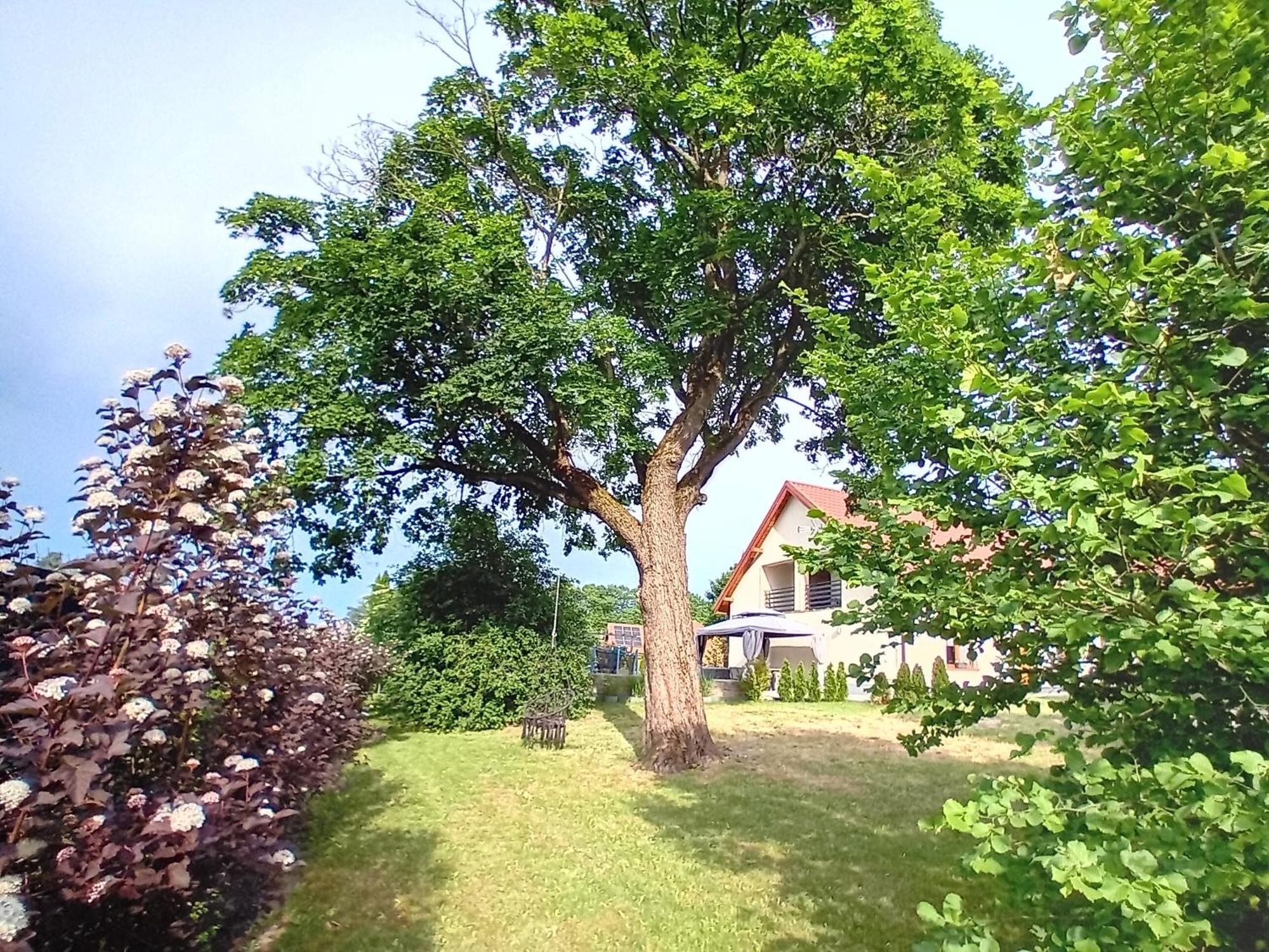 Pokoje Goscinne Sloneczny Klon Dabrowno Bagian luar foto